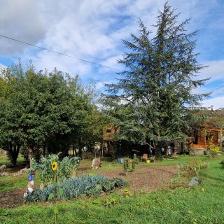 Chargement...
