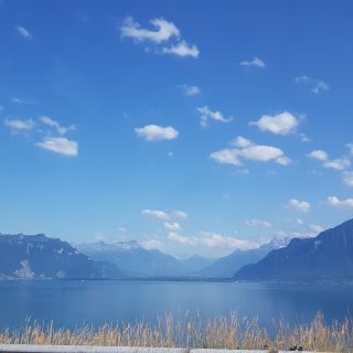 Chargement...
